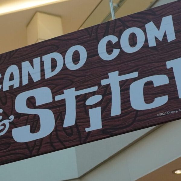 Externa no Parque do Lilo & Stitch!